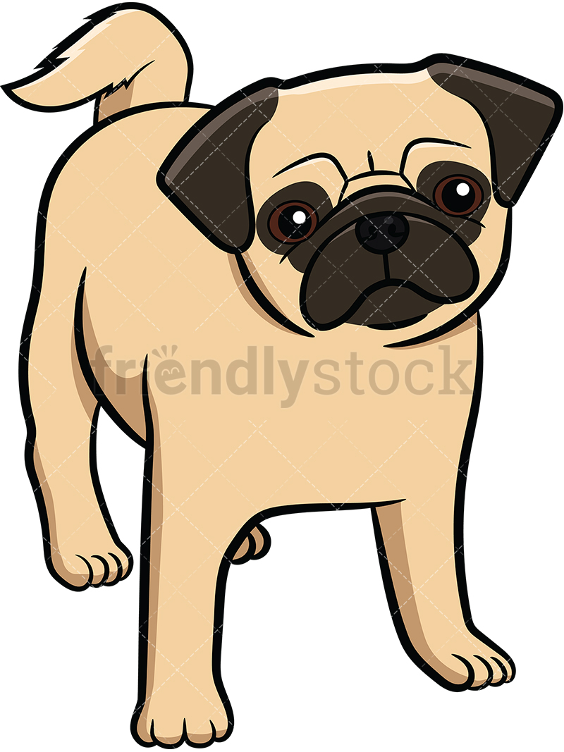800x1067 Apricot Pug Dog Puppy Cartoon Vector Clipart