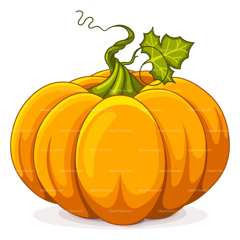 800x800 Pumpkin Images Clip Art