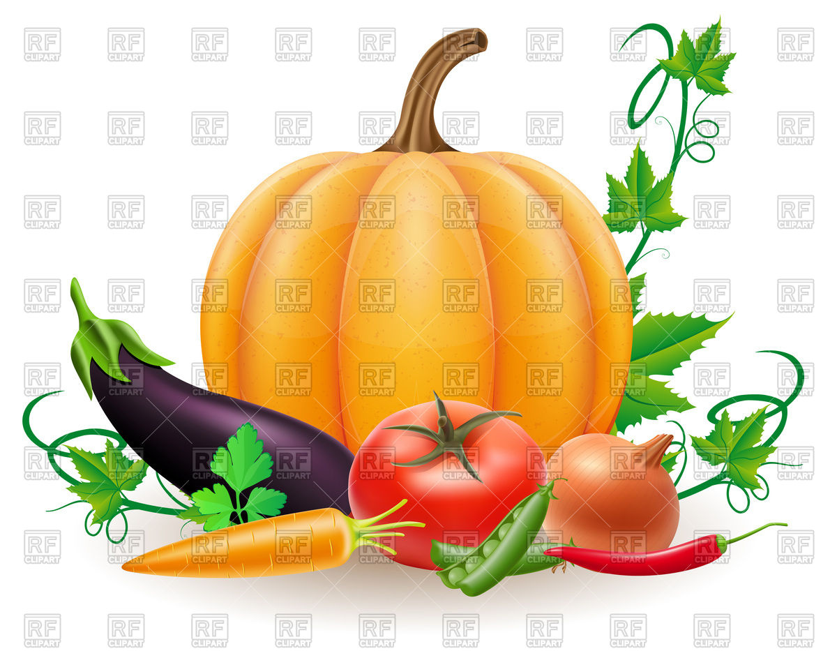 1200x933 Pumpkin And Autumn Harvest Vegetables Royalty Free Vector Clip Art