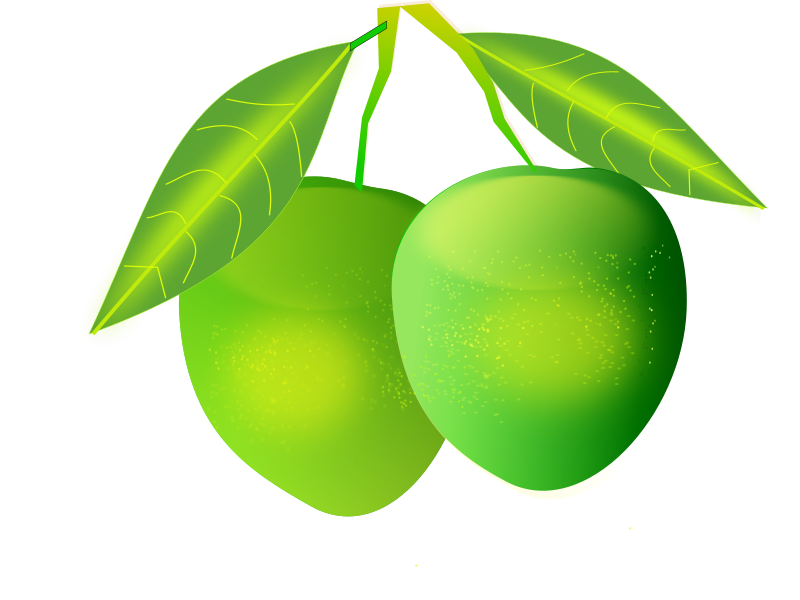 800x600 Sharbat Mango Fruit Clip Art