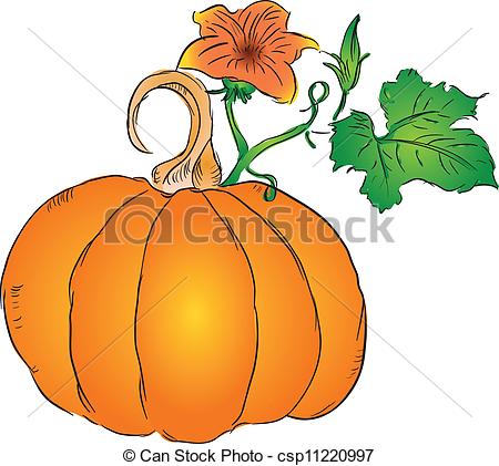 450x421 The Fruit Of The Pumpkin With Leaves And Blossoms Ovary . Eps