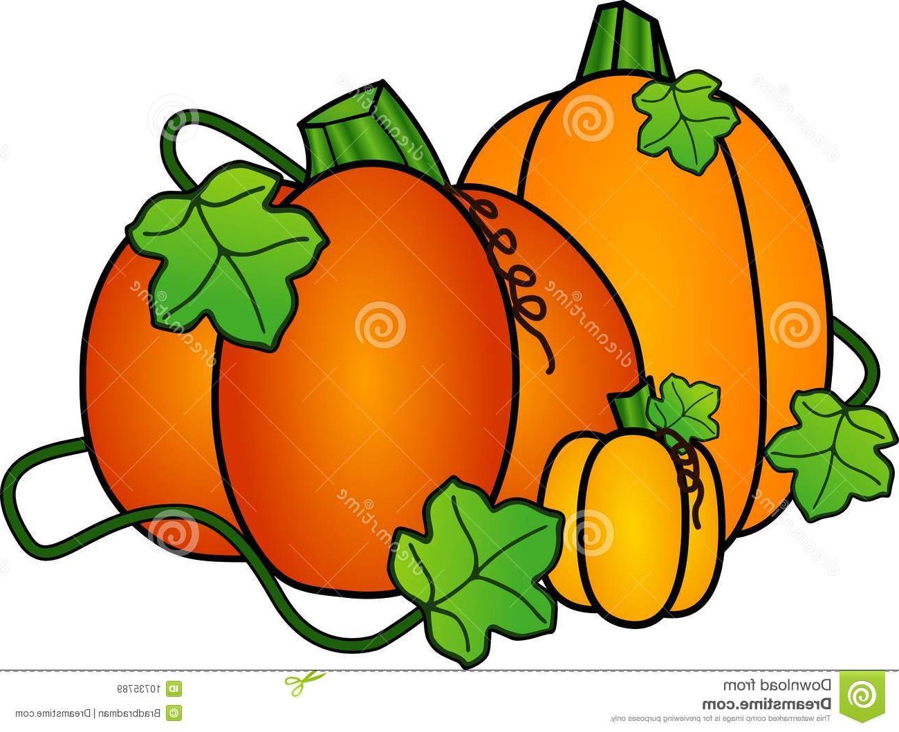 Pumpkin Patch Clipart at GetDrawings | Free download