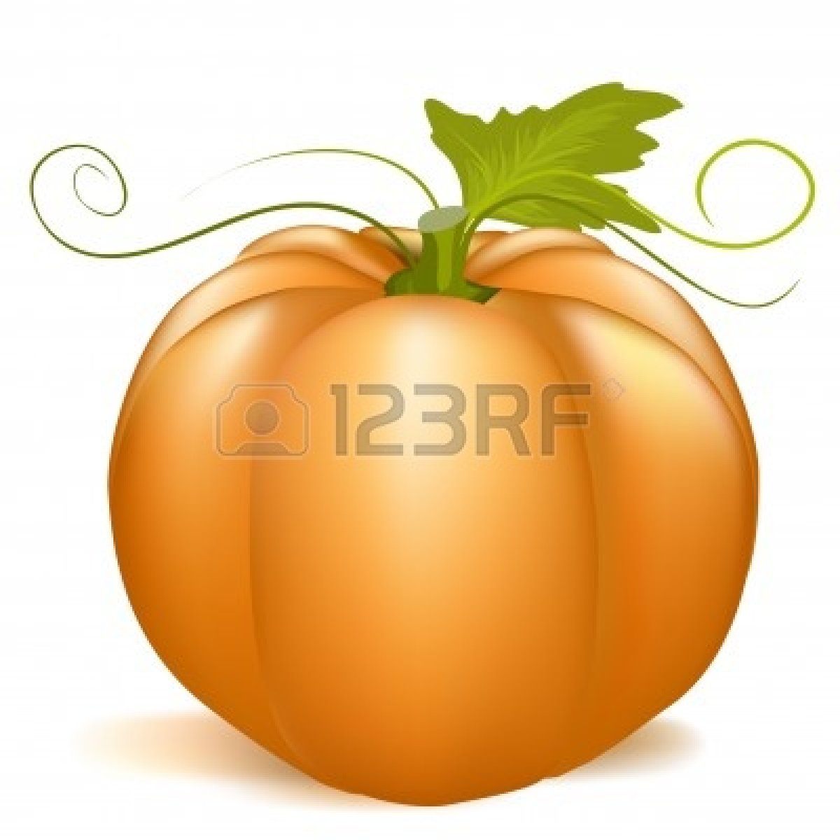 1200x1200 Rustic Pumpkin Clipart