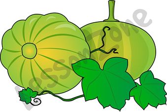 339x227 Pumpkin Vine Clipart Cliparthut