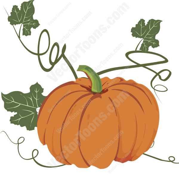 600x592 Pumpkin Stemp Clipart Collection