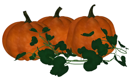 455x274 Pumpkins Clip Art