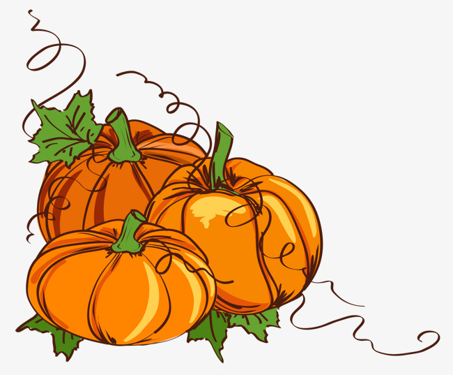 650x537 Thanksgiving Pumpkin Vine Hand Painted Illustration, Hand Painted