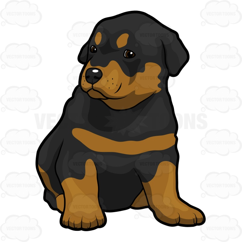 800x800 Rottweiler Cartoon Clipart