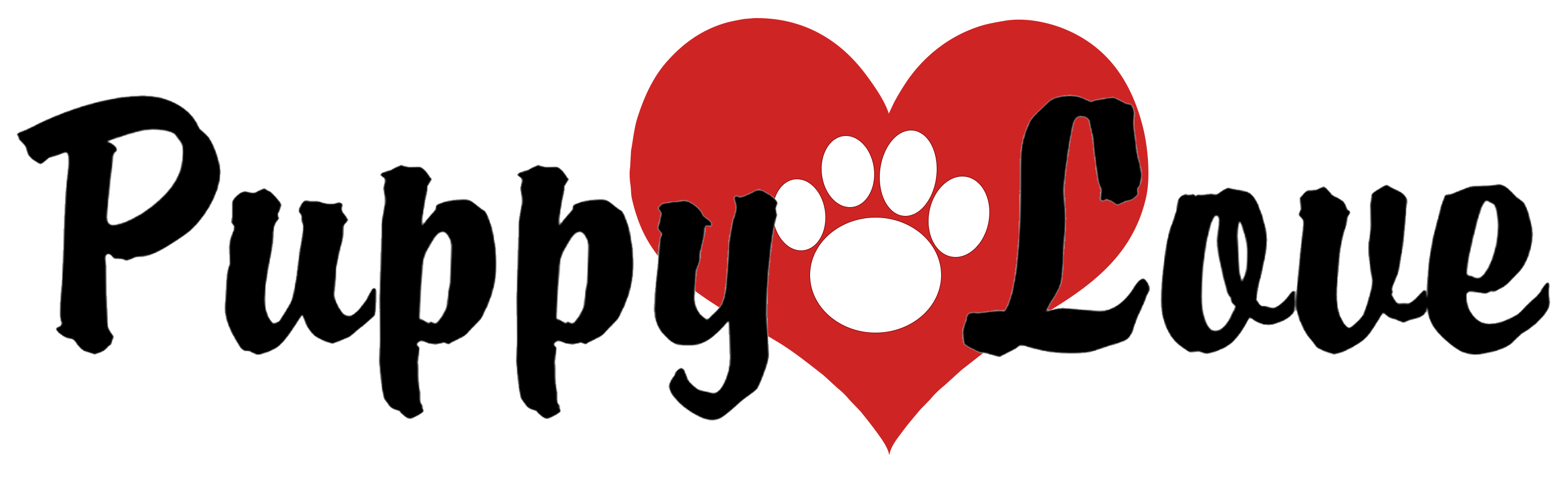 2859x885 Logo From Image.png