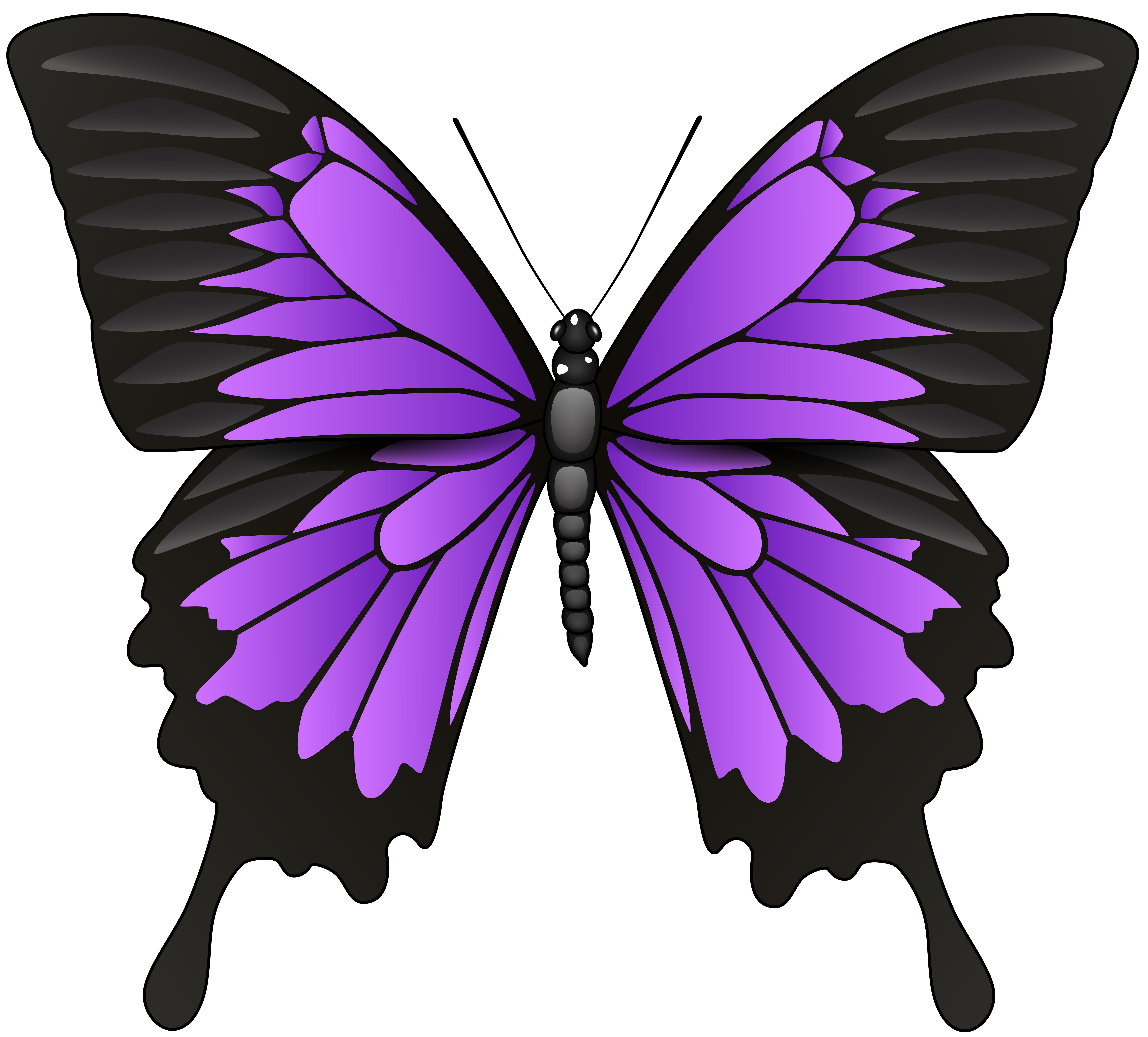 8000x7224 Purple Butterfly Png Clip Art