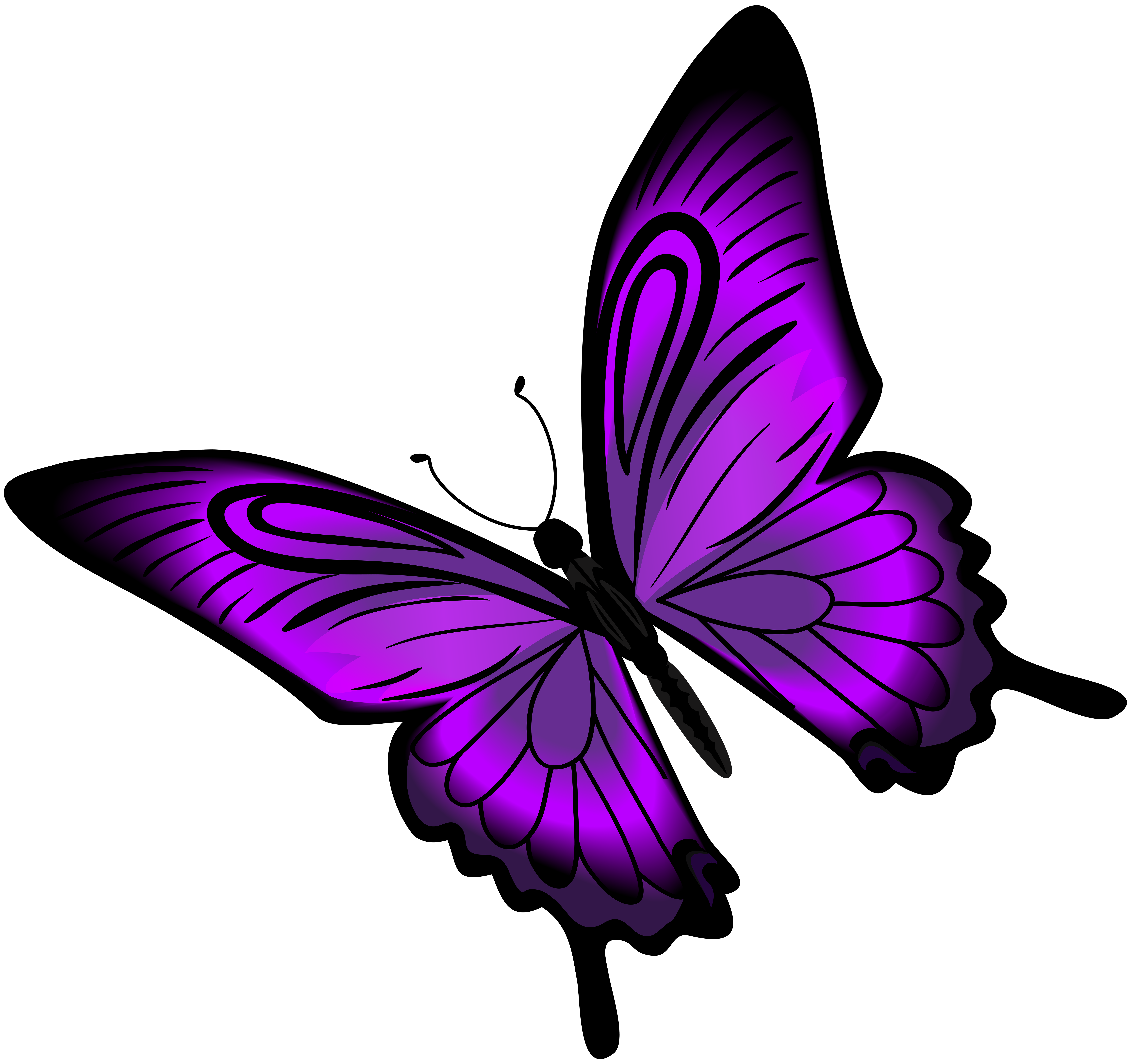 8000x7512 Purple Butterfly Png Clip Artu200b Gallery Yopriceville