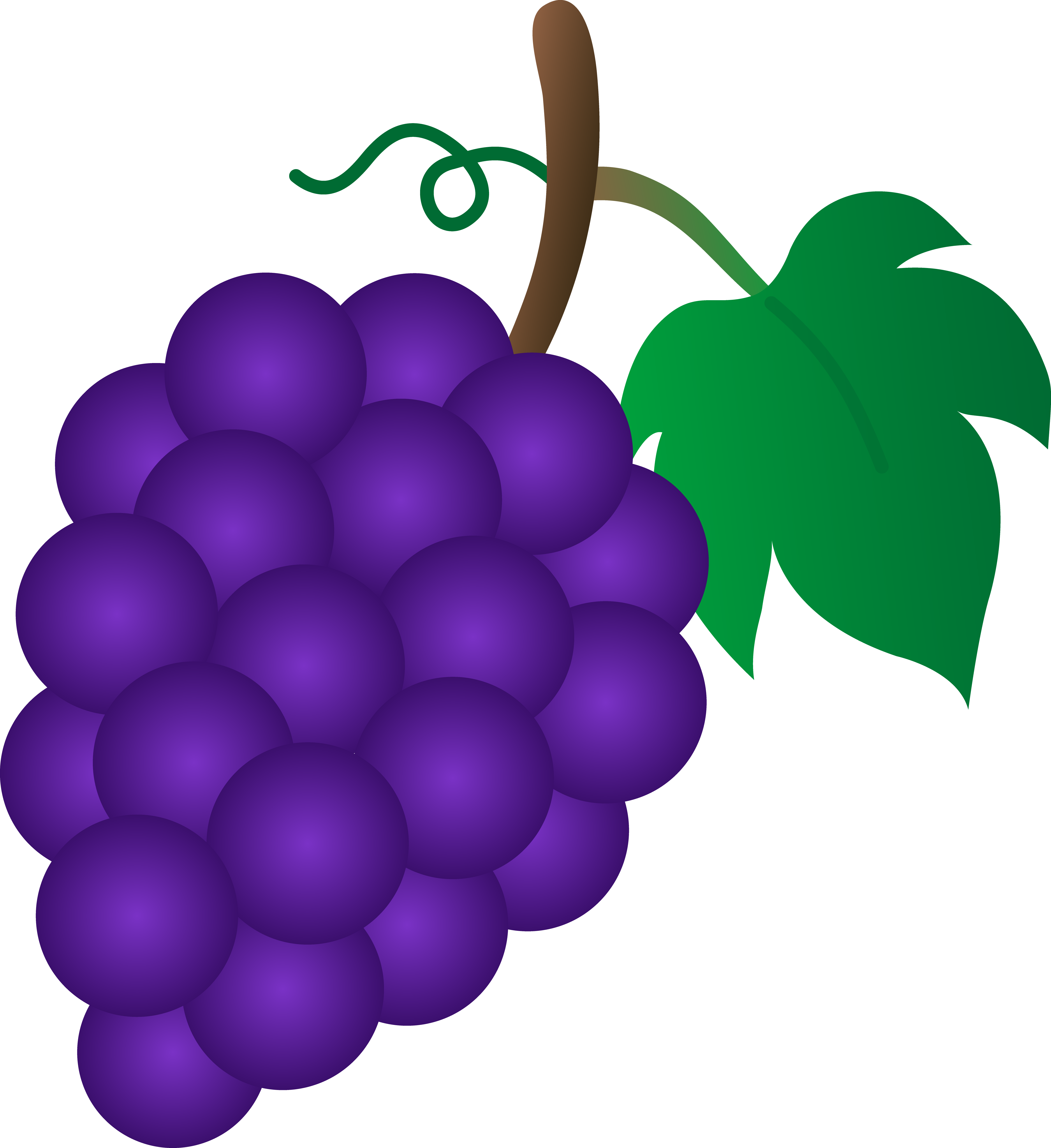 4801x5243 Bunch Of Purple Grapes