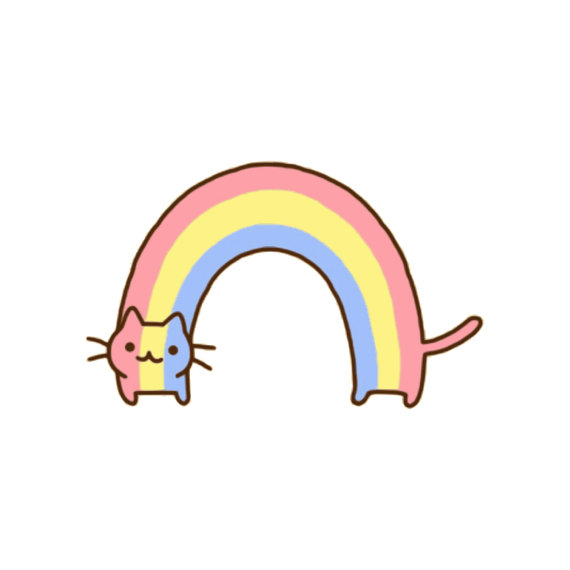 570x570 Rainbow Cat