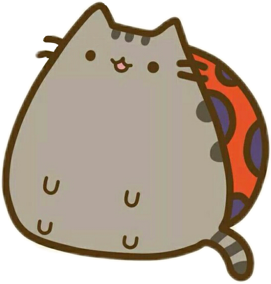 535x561 Pusheen Ladybug Bello Puccioso Bug Coccinella Cat Chat