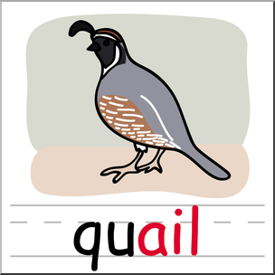 304x304 Clip Art Basic Words Ail Phonics Quail Color I