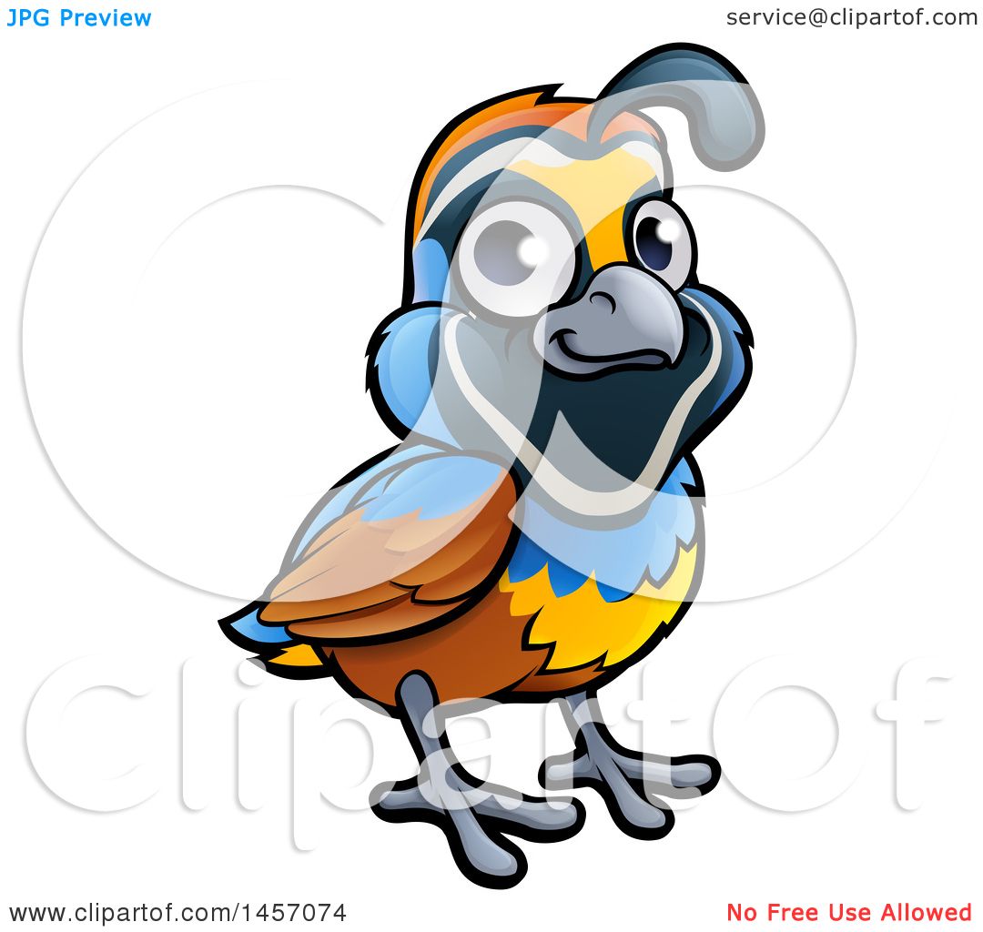 1080x1024 Clipart Of A Cartoon California Quail Bird