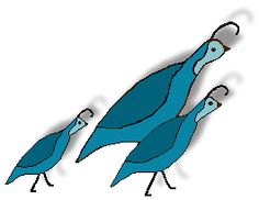 236x182 Cute Quail Clipart Clipart Panda