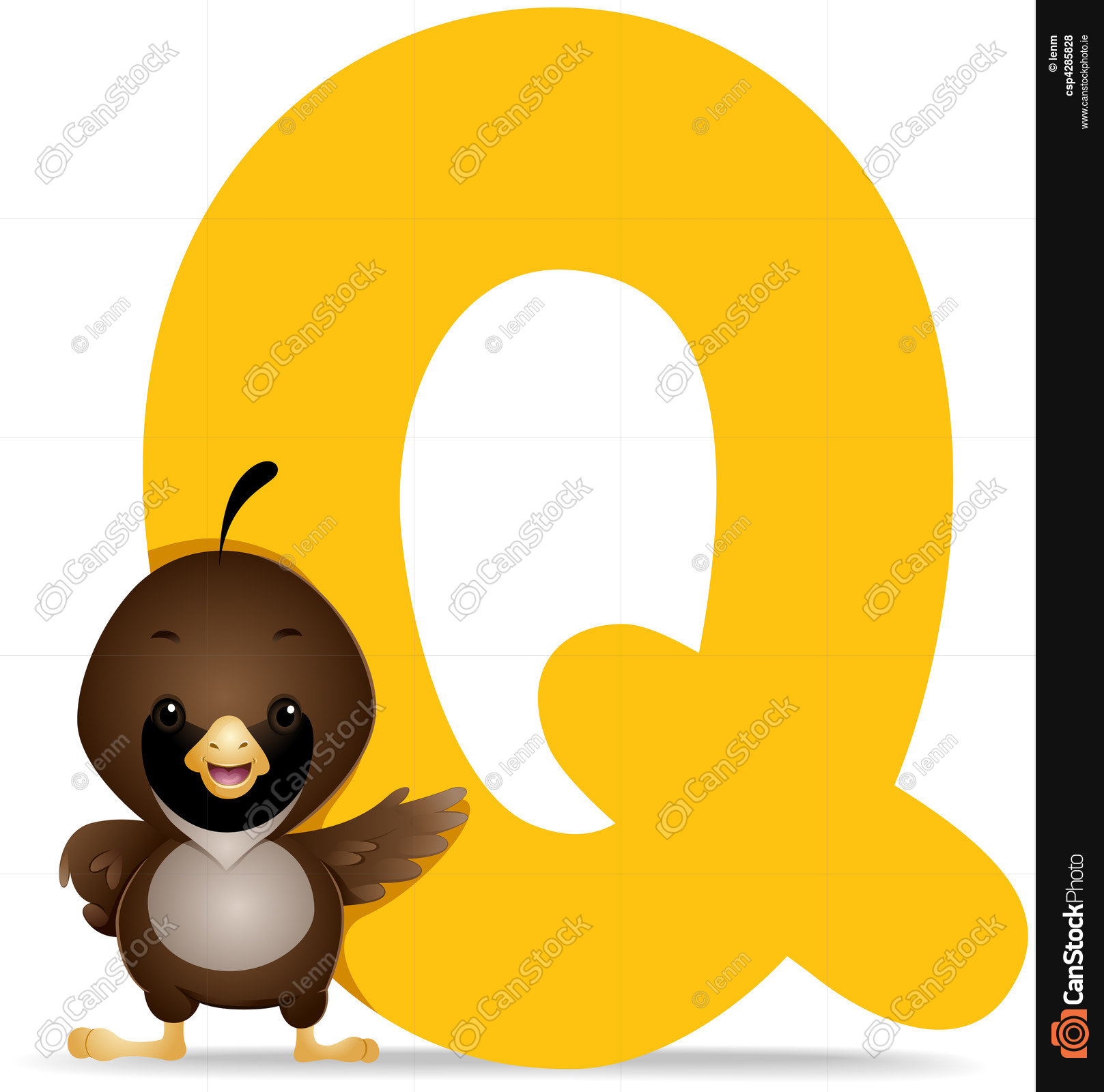 1617x1600 Q For Quail Stock Illustration