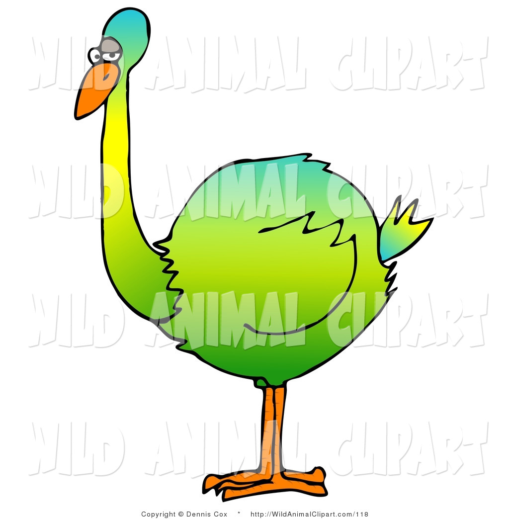 1024x1044 Quail Head Clip Art