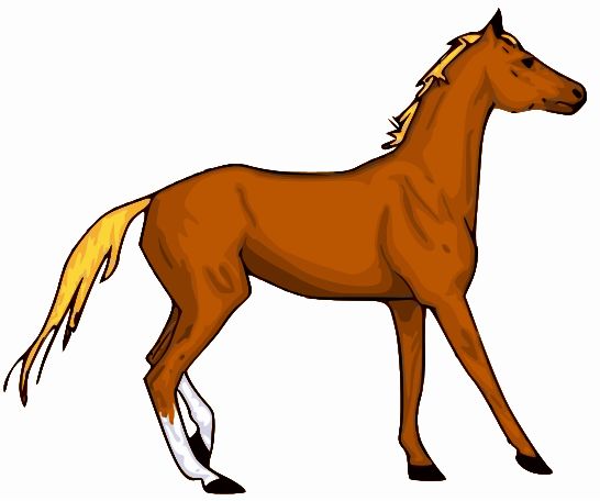 Quarter Horse Clipart
