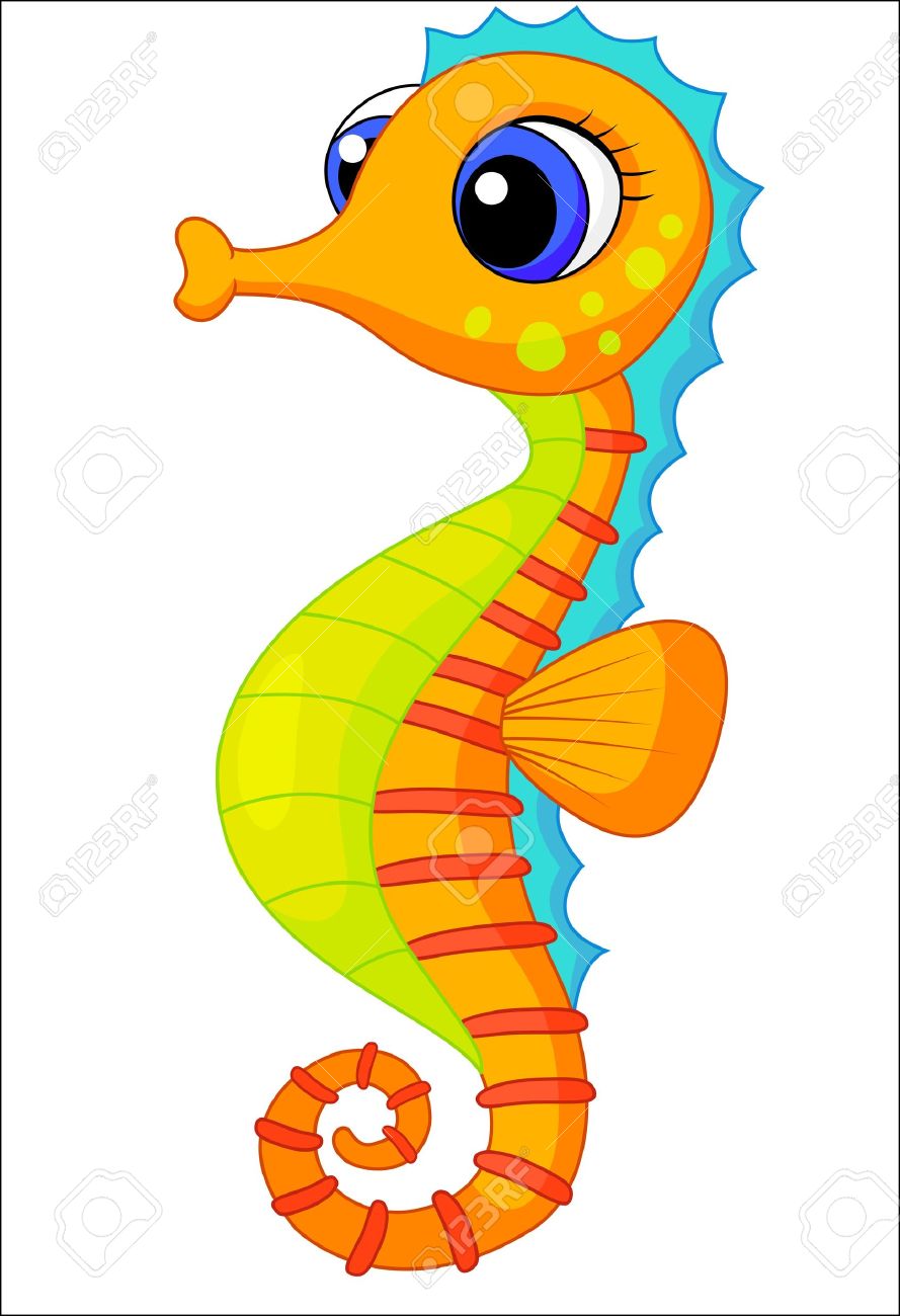 889x1300 Sea Horse Clipart
