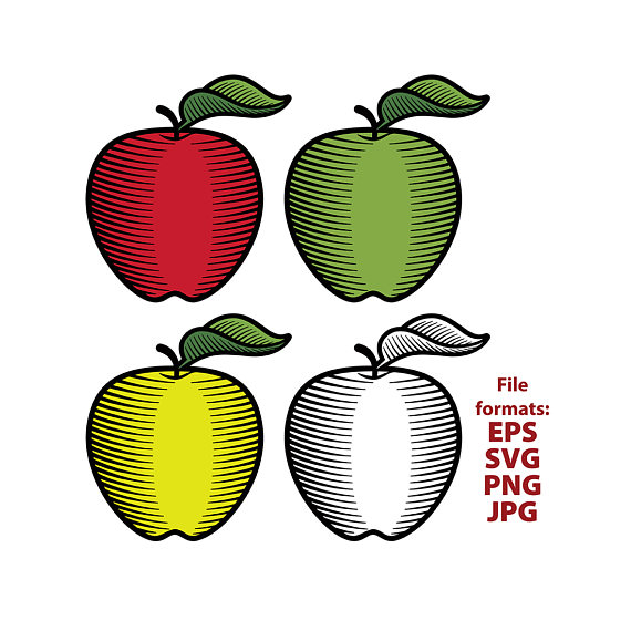 570x570 Apple, Apple Clipart, Green, Red, Yellow, Black And White, Woodcut