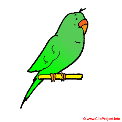 400x400 Parakeet Clipart