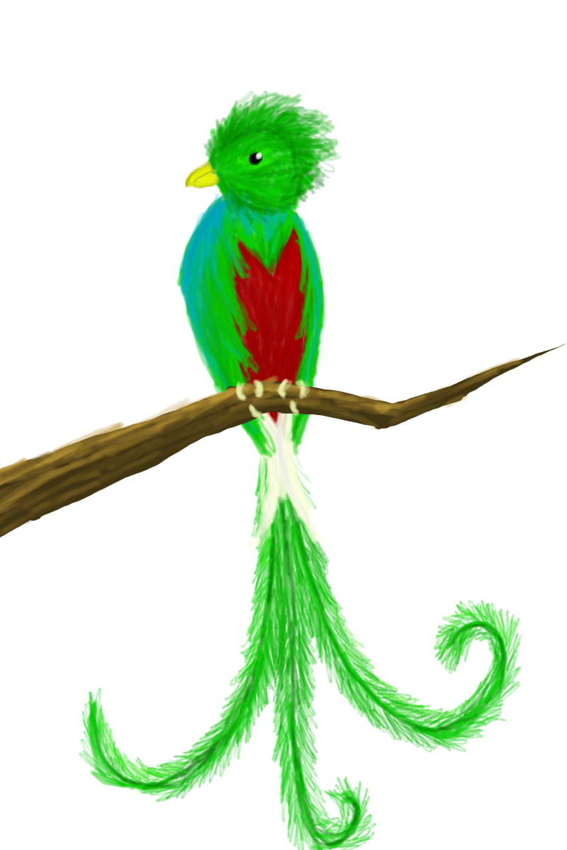 800x1200 Quetzal By Rkaydee