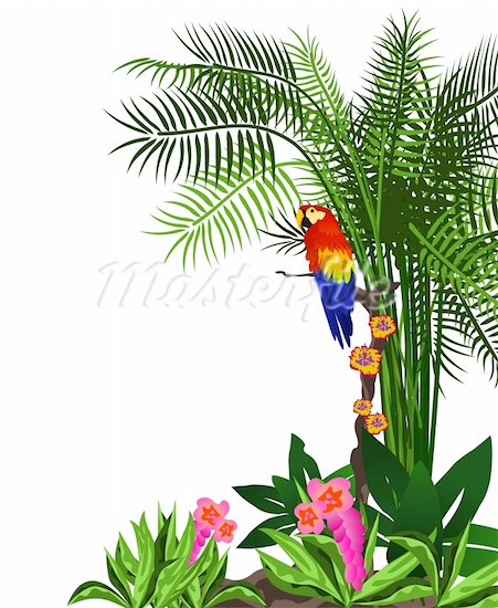 451x550 Top 77 Rainforest Clip Art