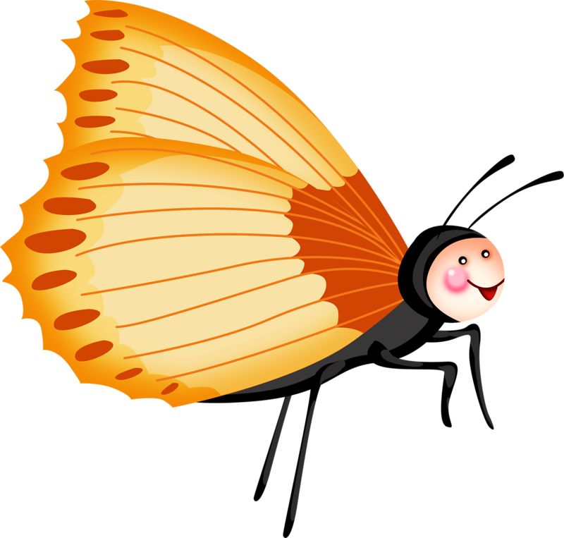 800x763 Image Du Blog Butterflies