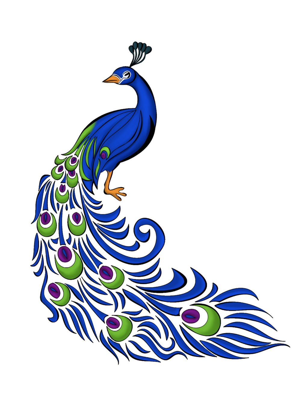 1024x1365 Peacock Quill Clipart