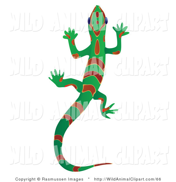 600x620 Clip Art Of A Green Red Gecko Lizard With Red Stripes