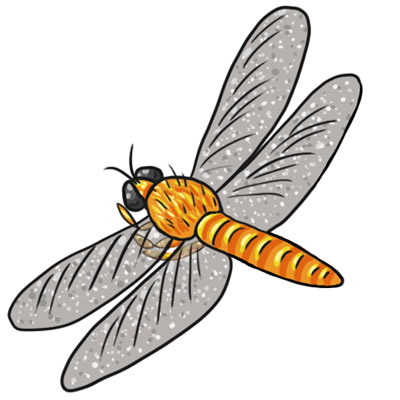 400x400 Dragonflies Clipart