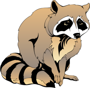 299x291 Raccoon Png, Svg Clip Art For Web