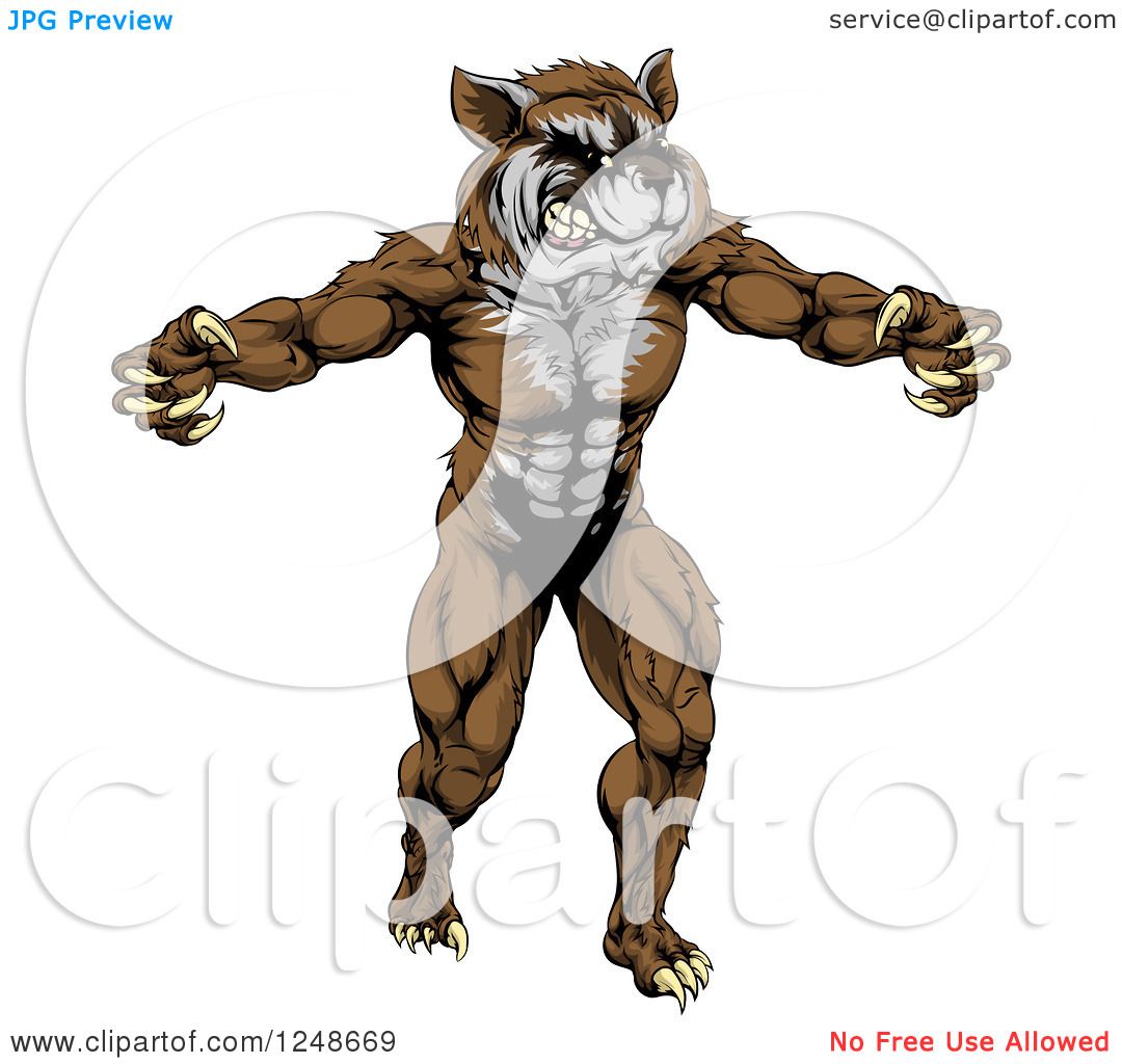 1080x1024 Raccoon Clipart Muscular