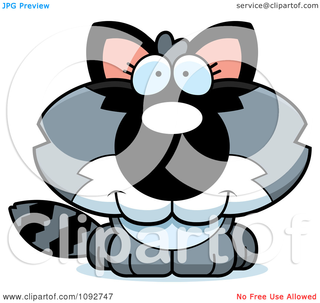 1080x1024 Cute Raccoon Clipart Clipart Panda