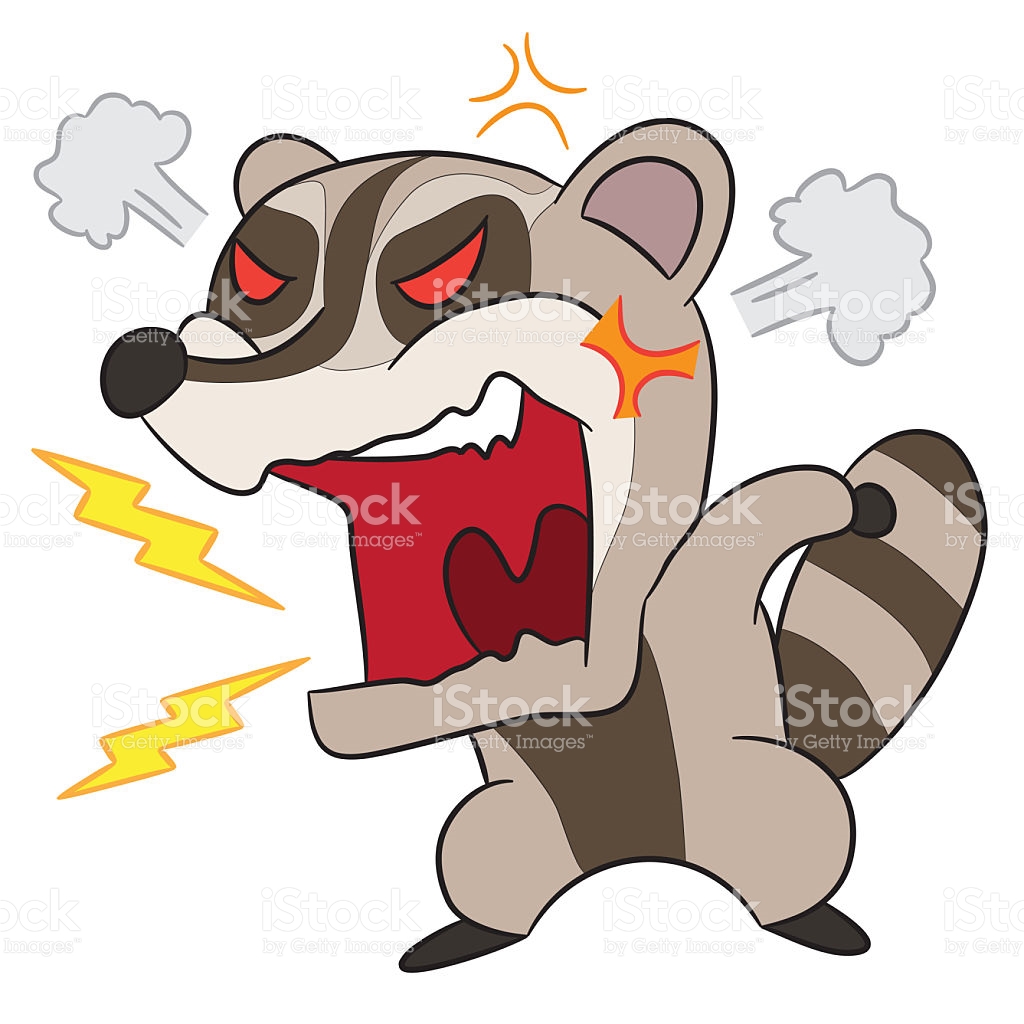 Racoon Clipart