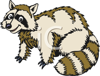 350x266 Royalty Free Raccoon Clip Art, Mammal Clipart
