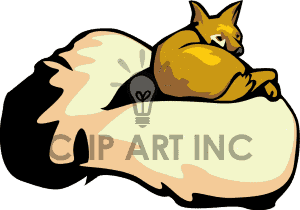 300x210 Raccoon Clipart