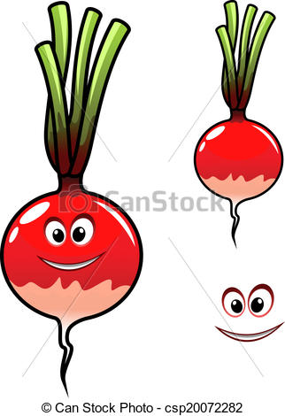 322x470 Fresh Radish Vegetable In Cartoon Style Isolated On White