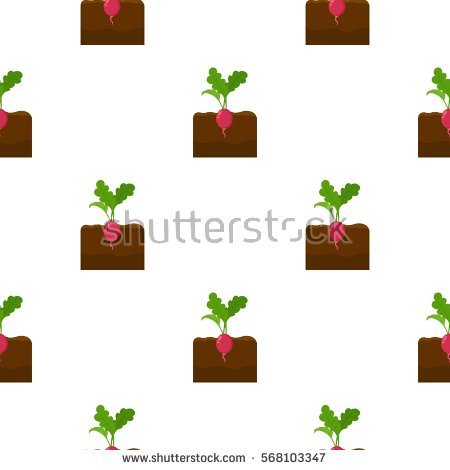 450x470 Garden Radish Clipart