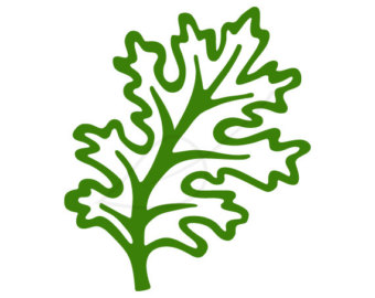 340x270 Kale Digital Stamp Clip Art Clipart Panda