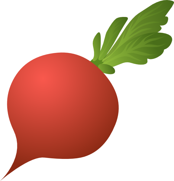 576x598 Radish Clip Art