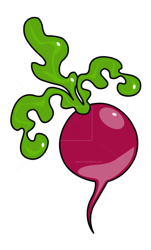484x800 Radish Icon(Long Leaves) Free Vectors, Illustrations, Graphics