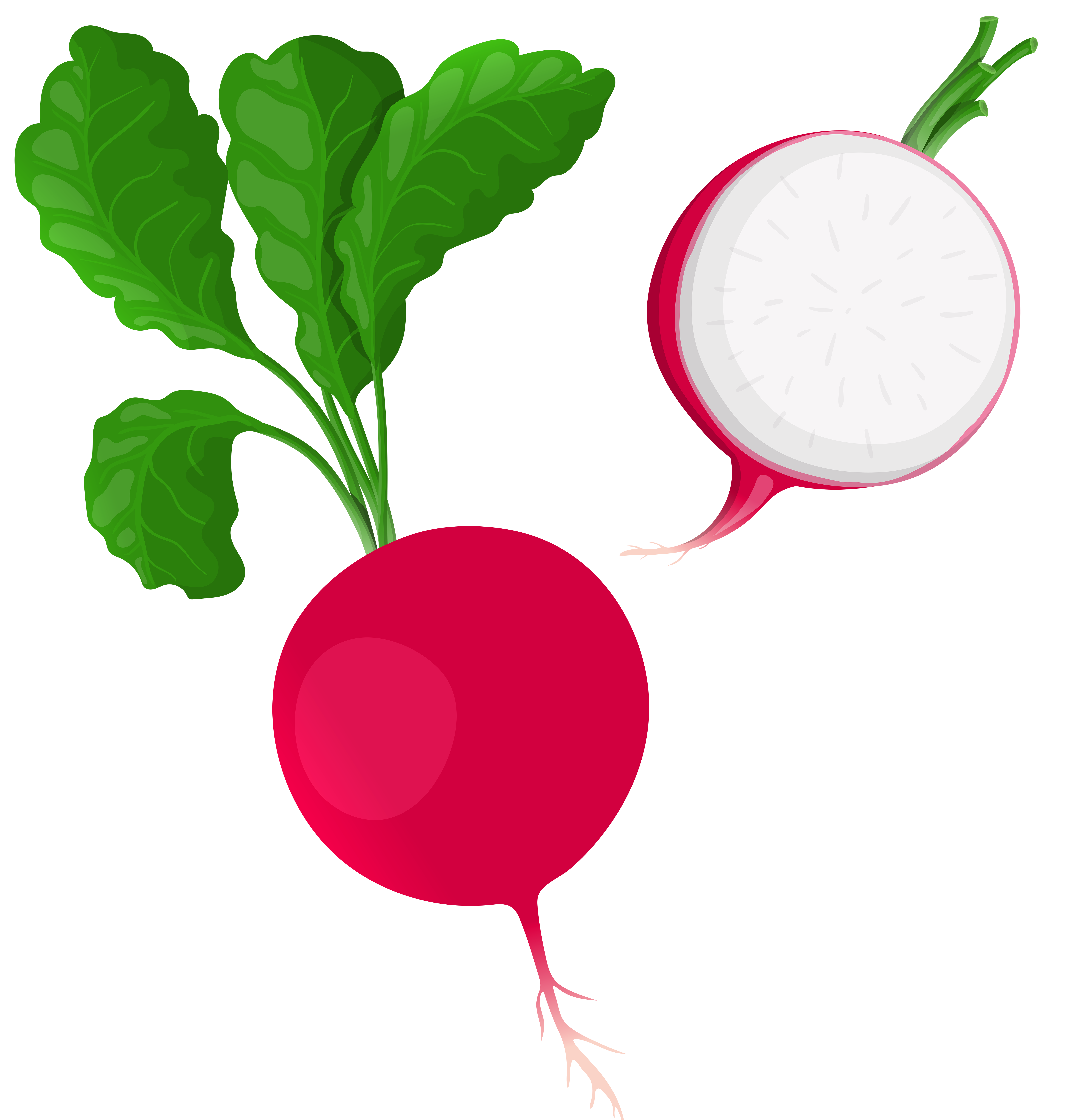 5818x6000 Radish Png Clip Art