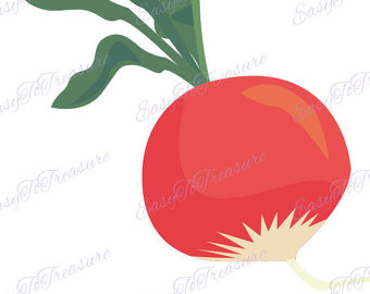 340x270 Radish Clipart Etsy