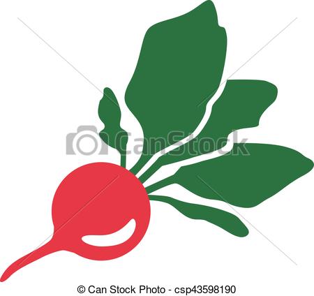 450x424 Radish Eps Vectors