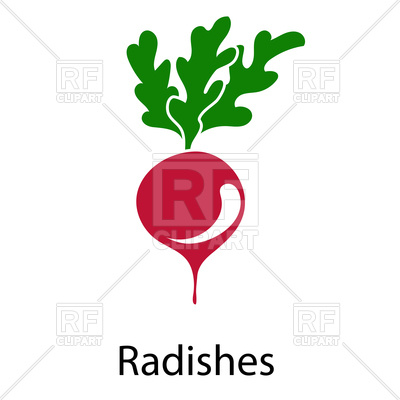 400x400 Radishes Icon Royalty Free Vector Clip Art Image