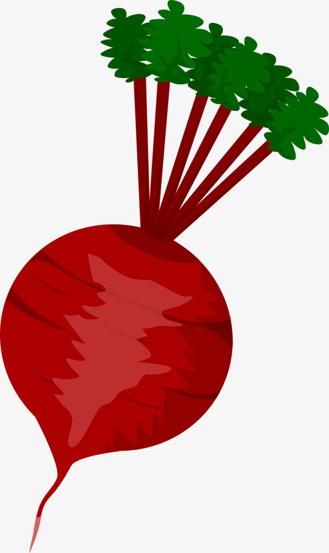 650x1091 Red Radish, Red, Radish, Vegetables Png Image And Clipart For Free