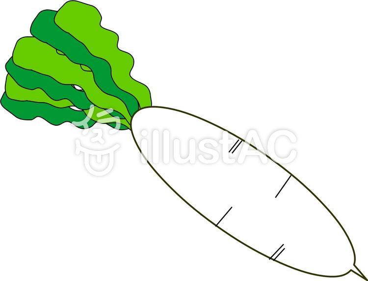 750x572 Free Cliparts Japanese Radish